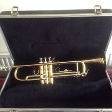 Trumpet case mouthpiece. for sale  SWINDON