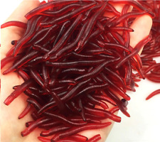Red bait worms for sale  WESTON-SUPER-MARE