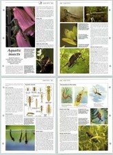 Aquatic insects habitats for sale  SLEAFORD