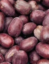 Kiwi rote bayernkiwi gebraucht kaufen  Menslage