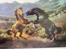 Rare horses supremacy for sale  Anniston