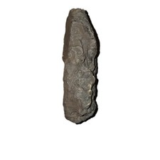 Amazing rare porous for sale  Lepanto
