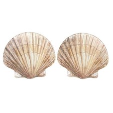 Sea shell malamine for sale  Anaheim