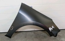 Kotflügel ford fiesta gebraucht kaufen  Radeberg, Wachau