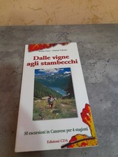 Dalle vigne agli usato  Torino