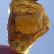 10.5g genuine baltic for sale  LUDLOW