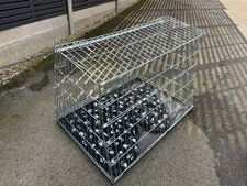 Large angled dog for sale  KETTERING
