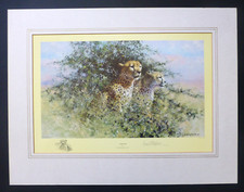 David shepherd cheetah for sale  ANDOVER