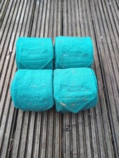 Teal showmaster leg for sale  SWANSEA