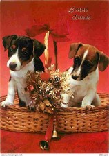Animals dogs jack d'occasion  Expédié en Belgium