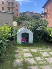 Cuccia cane esterno usato  Acquapendente