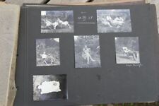 Fotoalbum 100 foto gebraucht kaufen  Ahlefeld-Bistensee, Hütten