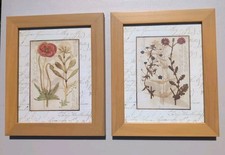 Pair vintage framed for sale  Ocala