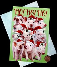 Htf christmas pigs for sale  Burbank