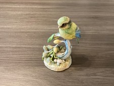 Teviotdale blue tit for sale Teviotdale blue tit for sale  YEOVIL