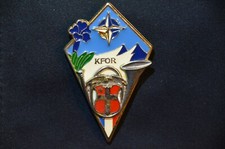 Insigne 13e bataillon d'occasion  Lescheraines