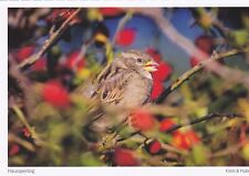 Wildlife postkarte vogel gebraucht kaufen  Deutschland