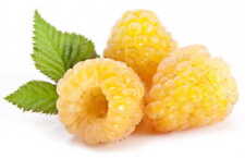 1 pacote com 100 sementes de framboesa amarela Rubus idaeus sementes frutas orgânicas comprar usado  Enviando para Brazil