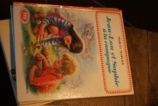 Livre illustre 1970 d'occasion  Vailly-sur-Sauldre