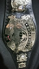 Wwe undisputed heavyweight for sale  Clifton