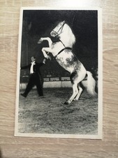 Radio circus oural d'occasion Radio circus oural d'occasion  Saïx