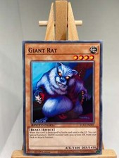 Giant rat 1st for sale  SPALDING