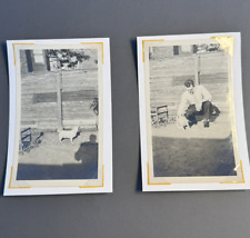 1950s found dog for sale  Oneonta