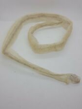 Various snake skin for sale  El Monte