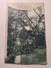collezione cartoline 1920 usato collezione cartoline 1920 usato Cortona