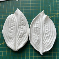 Hosts leaf veiner for sale  AYLESFORD