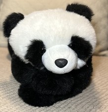 Jumbo aurora xie for sale  Mckinney