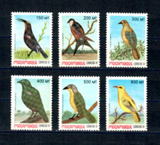 Mozambique birds 1174 for sale  Chula Vista
