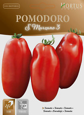 Semi pomodoro san usato  Trappeto