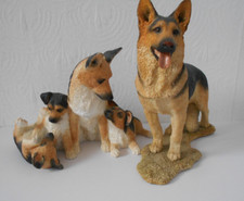 Sherratt simpson alsatian for sale  STAMFORD