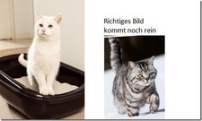 Ses barkas bus gebraucht kaufen  Düsseldorf