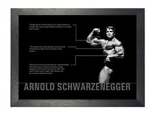 Arnold schwarzenegger professi for sale  SHIFNAL