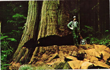 Postcard giant western for sale  Standish
