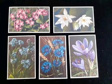 Cartes postales fleurs d'occasion  Bretteville-l'Orgueilleuse