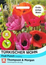 Türkischer mohn fruit gebraucht kaufen Türkischer mohn fruit gebraucht kaufen  Wuppertal