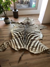 Zebrafell zebra jagd gebraucht kaufen  Saarbrücken