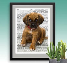 Puggle puppy dog for sale  Cleveland