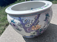 Large chinese koi for sale  Jeannette