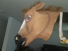 Pferdemaske pferde maske gebraucht kaufen  Konz