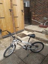 Oregon terrian childs for sale  ORPINGTON
