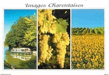Charente charente images d'occasion  Expédié en Belgium