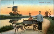 Hondenkar zuid holland gebraucht kaufen  Eimeldingen
