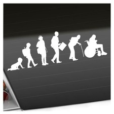 Evolution modernes leben gebraucht kaufen  Leipzig