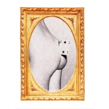 Seletti tappeto 60x90cm usato  Besozzo