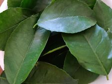 Hojas naranja organicas for sale  Winnetka