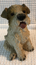 Wire haired fox for sale  USA